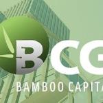 BCG sets great store by real estate negotiations