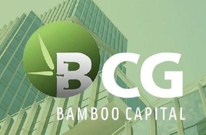 BCG sets great store by real estate negotiations